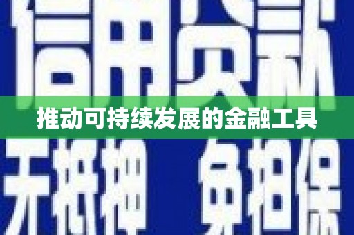 黄石港推动可持续发展的金融工具