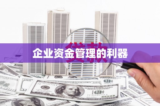 黄石港企业资金管理的利器