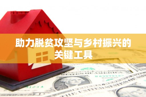 黄石港助力脱贫攻坚与乡村振兴的关键工具