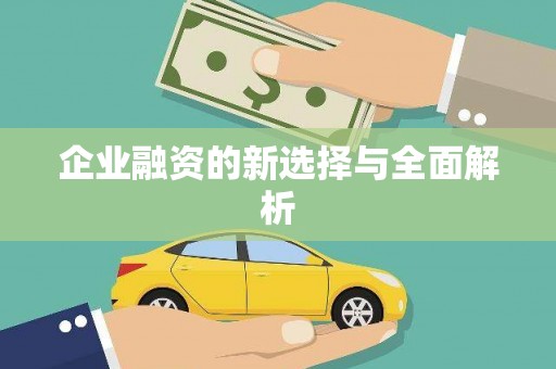 黄石港企业融资的新选择与全面解析