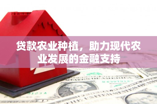 黄石港贷款农业种植，助力现代农业发展的金融支持