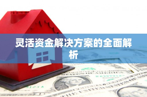 黄石港灵活资金解决方案的全面解析