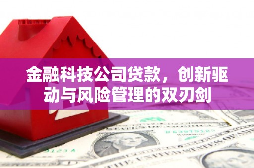 黄石港金融科技公司贷款，创新驱动与风险管理的双刃剑